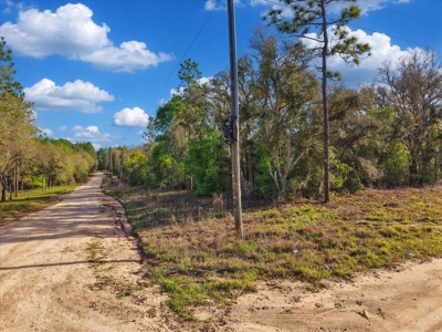1.25 Acre Corner Lot In Levy County Near Gainesville, Fl - image 10