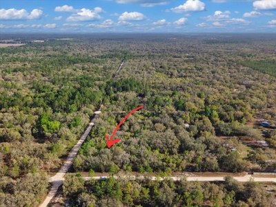 1.25 Acre Corner Lot In Levy County Near Gainesville, Fl - image 1