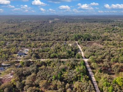 1.25 Acre Corner Lot In Levy County Near Gainesville, Fl - image 7
