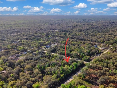 1.25 Acre Corner Lot In Levy County Near Gainesville, Fl - image 12