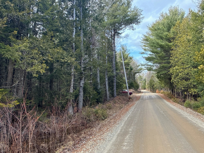 Affordable Private Maine Land with Long Driveway & Drilled Well - image 6
