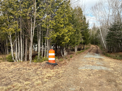 Affordable Private Maine Land with Long Driveway & Drilled Well - image 3