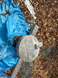 Affordable Private Maine Land with Long Driveway & Drilled Well - image 7