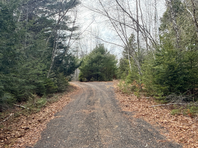 Affordable Private Maine Land with Long Driveway & Drilled Well - image 5