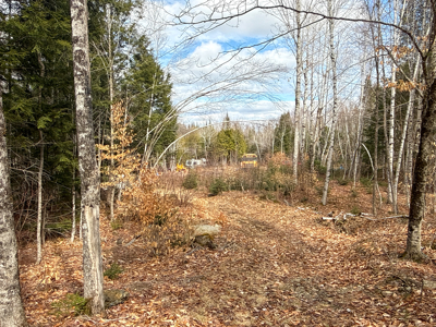 Affordable Private Maine Land with Long Driveway & Drilled Well - image 2
