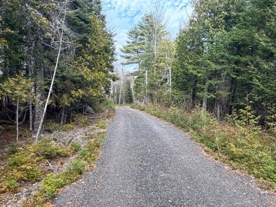 Affordable Private Maine Land with Long Driveway & Drilled Well - image 1