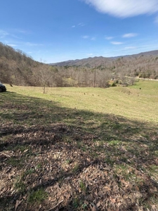 35 Surveyed Acres For Sale in East Tennessee - image 14
