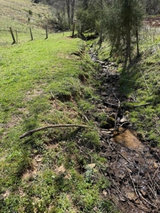 35 Surveyed Acres For Sale in East Tennessee - image 22