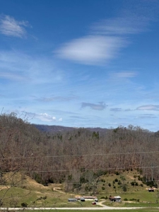 35 Surveyed Acres For Sale in East Tennessee - image 17