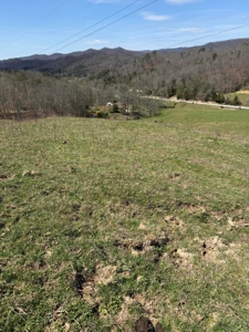 35 Surveyed Acres For Sale in East Tennessee - image 11
