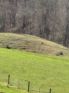 35 Surveyed Acres For Sale in East Tennessee - image 27