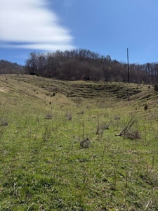 35 Surveyed Acres For Sale in East Tennessee - image 16