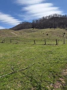 35 Surveyed Acres For Sale in East Tennessee - image 21