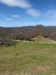 35 Surveyed Acres For Sale in East Tennessee - image 1