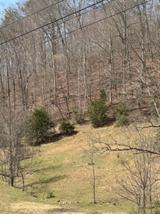 35 Surveyed Acres For Sale in East Tennessee - image 23
