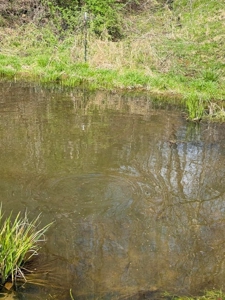 35 Surveyed Acres For Sale in East Tennessee - image 31