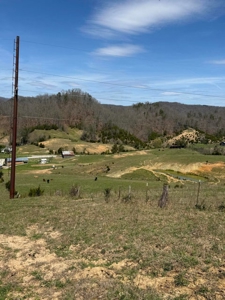 35 Surveyed Acres For Sale in East Tennessee - image 10