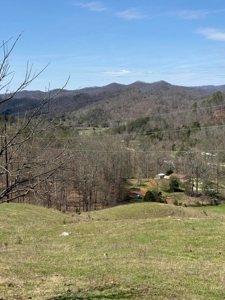 35 Surveyed Acres For Sale in East Tennessee - image 8