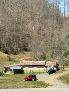 35 Surveyed Acres For Sale in East Tennessee - image 6