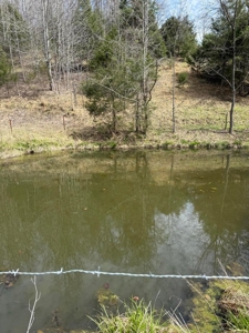 35 Surveyed Acres For Sale in East Tennessee - image 32