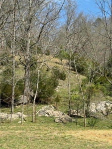 35 Surveyed Acres For Sale in East Tennessee - image 26