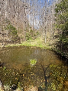 35 Surveyed Acres For Sale in East Tennessee - image 28