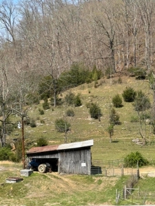 35 Surveyed Acres For Sale in East Tennessee - image 7