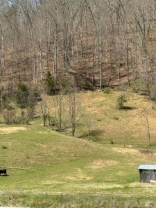 35 Surveyed Acres For Sale in East Tennessee - image 5