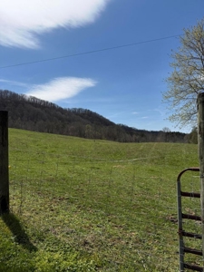 35 Surveyed Acres For Sale in East Tennessee - image 3