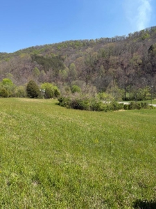 Home and 3.5 acres for Sale in Hawkins County, TN - image 5