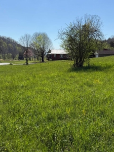 Home and 3.5 acres for Sale in Hawkins County, TN - image 2