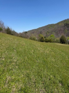 Home and 3.5 acres for Sale in Hawkins County, TN - image 4