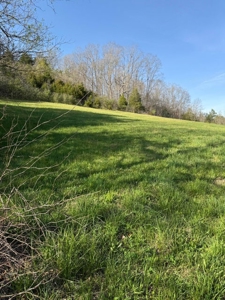 Home and 3.5 acres for Sale in Hawkins County, TN - image 28