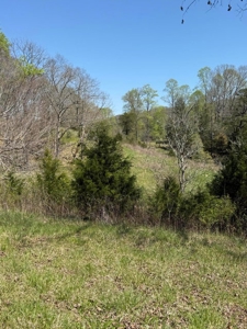 65 Acres with barn for Sale in Hawkins County, Tennessee - image 38