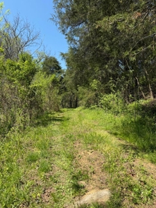 65 Acres with barn for Sale in Hawkins County, Tennessee - image 5