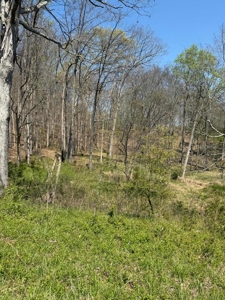 65 Acres with barn for Sale in Hawkins County, Tennessee - image 30