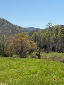 65 Acres with barn for Sale in Hawkins County, Tennessee - image 12