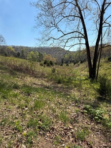 65 Acres with barn for Sale in Hawkins County, Tennessee - image 21