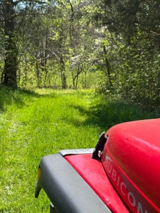 65 Acres with barn for Sale in Hawkins County, Tennessee - image 9