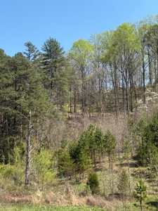 65 Acres with barn for Sale in Hawkins County, Tennessee - image 14