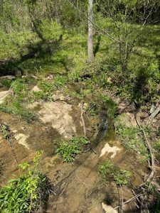 65 Acres with barn for Sale in Hawkins County, Tennessee - image 7