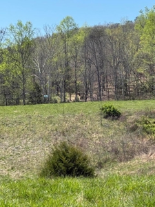 65 Acres with barn for Sale in Hawkins County, Tennessee - image 27