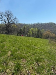 65 Acres with barn for Sale in Hawkins County, Tennessee - image 19