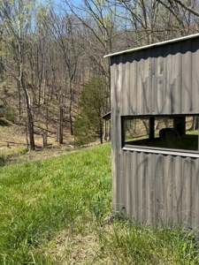 65 Acres with barn for Sale in Hawkins County, Tennessee - image 26
