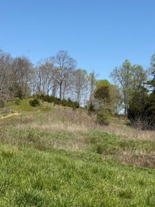 65 Acres with barn for Sale in Hawkins County, Tennessee - image 15