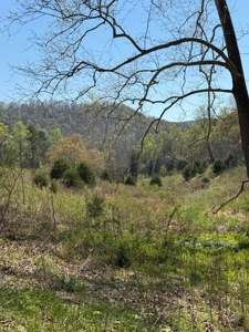 65 Acres with barn for Sale in Hawkins County, Tennessee - image 16