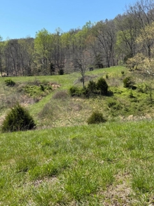 65 Acres with barn for Sale in Hawkins County, Tennessee - image 40