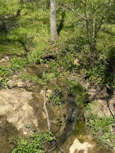 65 Acres with barn for Sale in Hawkins County, Tennessee - image 6