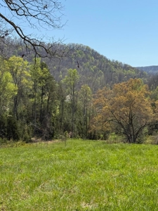 65 Acres with barn for Sale in Hawkins County, Tennessee - image 13