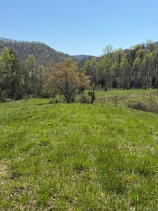 65 Acres with barn for Sale in Hawkins County, Tennessee - image 39